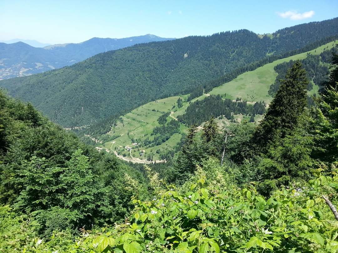 Saçinka Yaylası 2