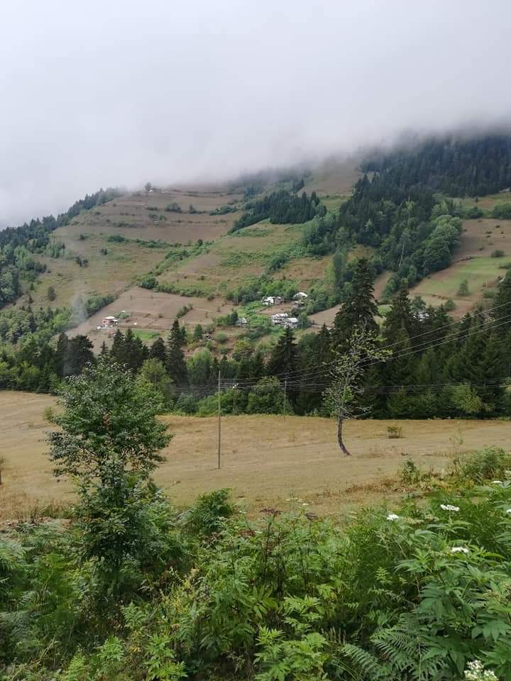 Saçinka Yaylası 3