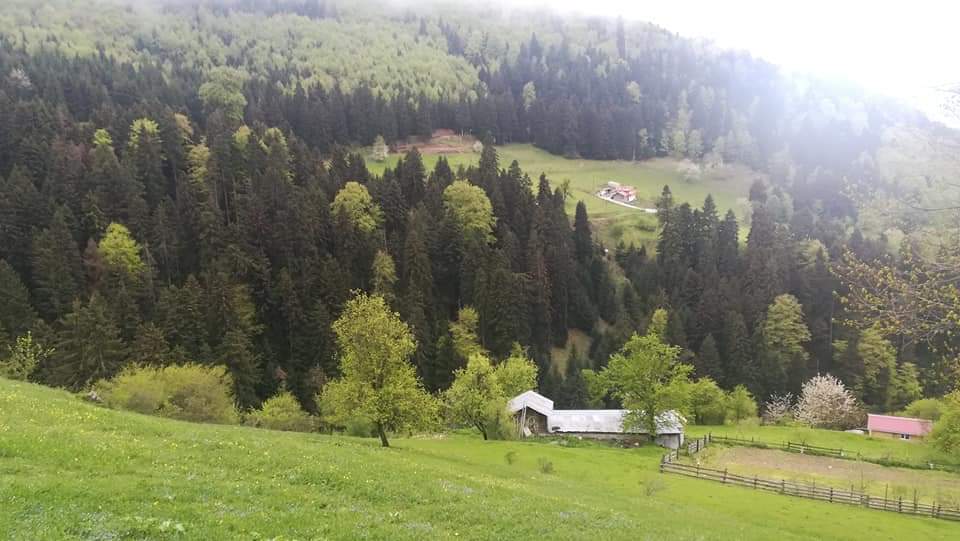 Saçinka Yaylası 4